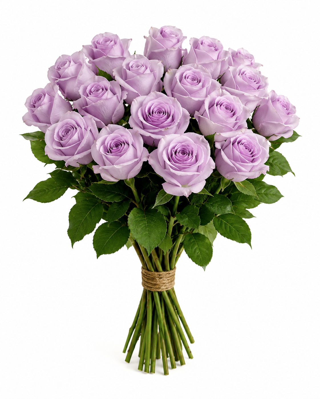 Purple Rose Bouquet – 20 Stems (Medium)