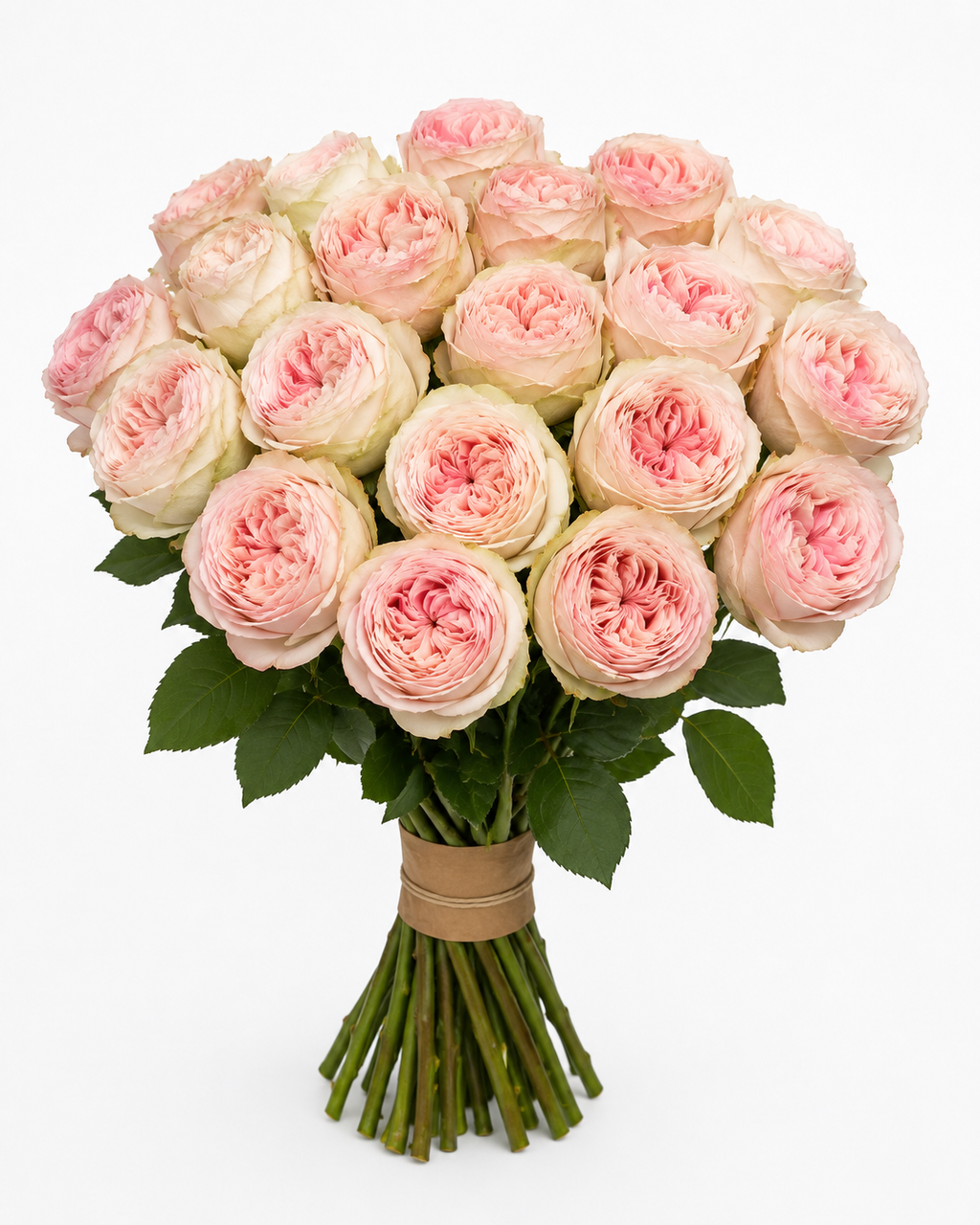 Peach Rose Bouquet – 20 Stems (Medium)