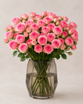 Dinara Pink Roses - 10 Stems