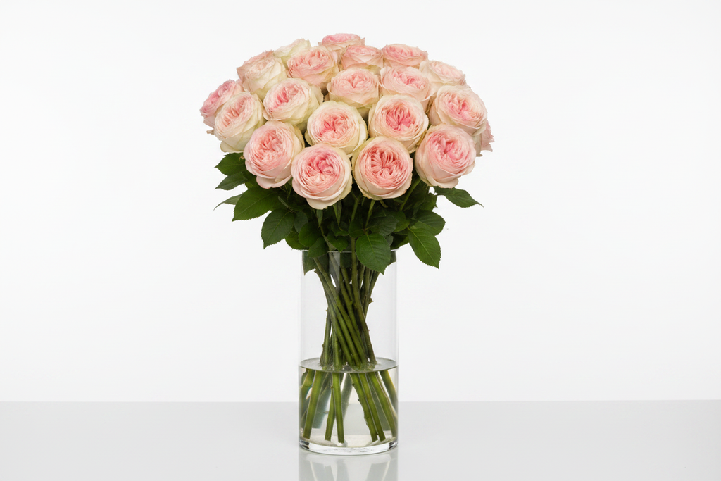 Peach Rose Bouquet 20 Stems – in cylinder vase
