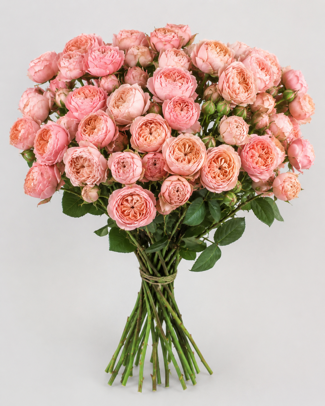 Julieta Pink Spray Roses – 10 Stems