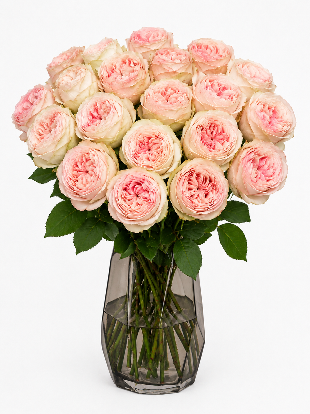 Peach Rose Bouquet – 20 Stems (Medium)