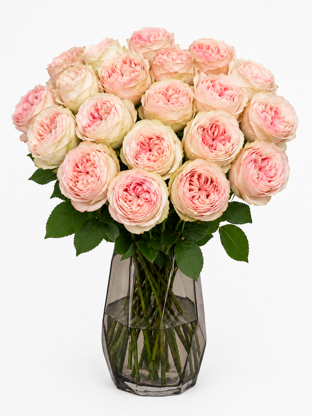 Peach Rose Bouquet – 20 Stems (Medium)