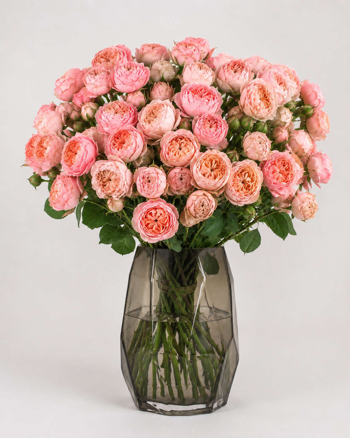 Julieta Pink Spray Roses – 10 Stems