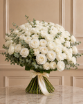 101 Blanc Élan